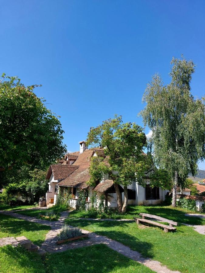 Count Kalnoky'S Transylvanian Guesthouses Miclosoara Exterior foto