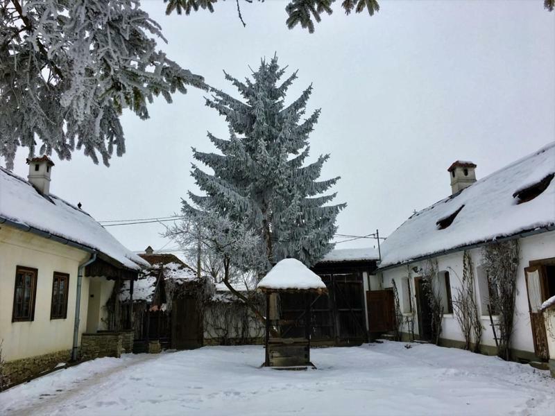 Count Kalnoky'S Transylvanian Guesthouses Miclosoara Exterior foto